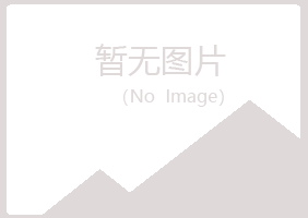 江津夏日咨询有限公司